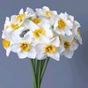 4arabya_129