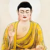 nguyn.lin4347