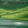 krisw_777