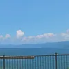 koko710534