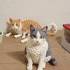 meow13omg