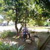 terserah07770