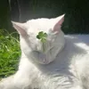 thuoctaycunglacay_