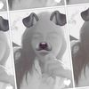 always_zahra25