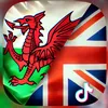 lovewaleslovebritain