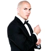 pitbull.9999