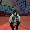velocityvr1