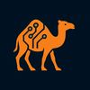 camelofcodes