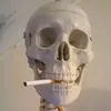 user6692030150082