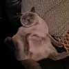felixxkoutz