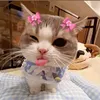 eduarda_sousa1