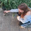 iemand_0388x