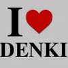 denkikaminari564