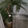 user117565361301