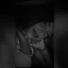 laylavictoriaa_