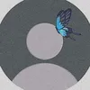 user276131290575