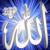 user4235618658841