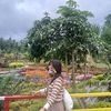 grnett_07