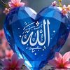 oma.syiffa
