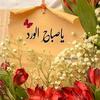 hoda.zidan6