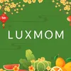 Luxmom Beauty