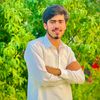 hamza.khan3918