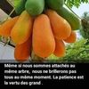 maman.nana46