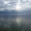 nikolanajduk4