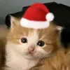 lizka_26