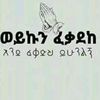 dn.gashaw0