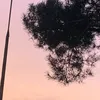 gosia_pvpv0