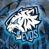 evos.div