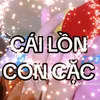 hoiconcacm