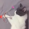 maykzim_