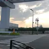 yingli.lu