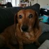 viclam_77