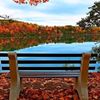 lidia_3286