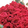 afiya_bushra6