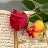 user1791097192201