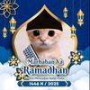 muhamadd.alfarizizxf