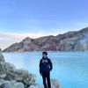 alfis__2