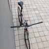 zamsukafixie