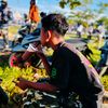 andisatriyansyah