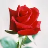 user70901066138201
