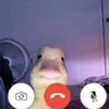 heyitslaurallaa