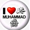 kat.gulab40