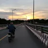 phong.nek446