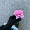 user95128121014634