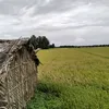 84_thichcauca