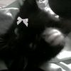 dct_x86